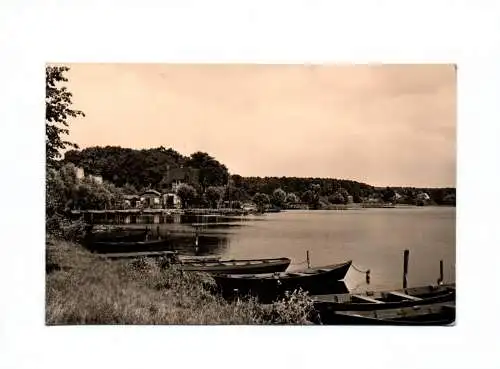 Ak Lychen Partie am Oberpfuhlsee 1963