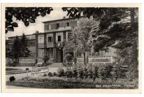 Ak Bad Düben Mulde Heilbad 1963 