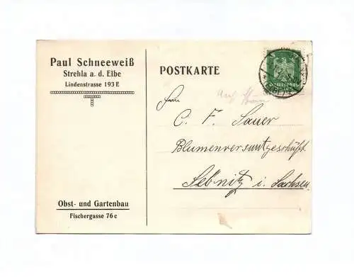 Postkarte Paul Schneeweiß Strehla an der Elbe Obst Gartenbau 1926