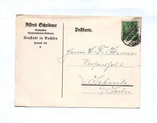 Postkarte Alfred Scheibner Gartenbau Neustadt Sachsen 1926