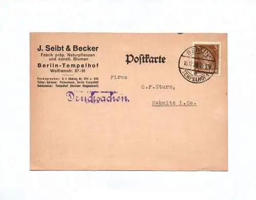 Postkarte J Seibt und Becker präparierte Naturpflanzen Berlin Tempelhof 1928
