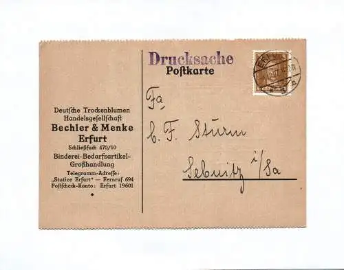Drucksache Deutsche Trockenblumen Bechler und Menke Erfurt 1927