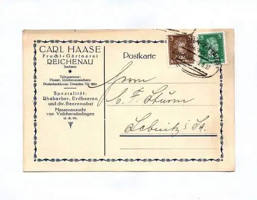 Postkarte Carl Haase Frucht Gärtnerei Reichenau 1927