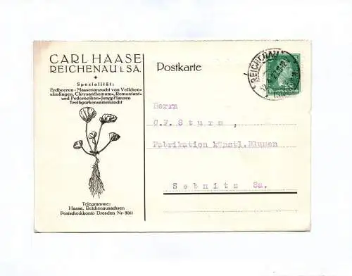 Postkarte Carl Haase Reichenau Spezialgeschäft Erdbeeren 1927