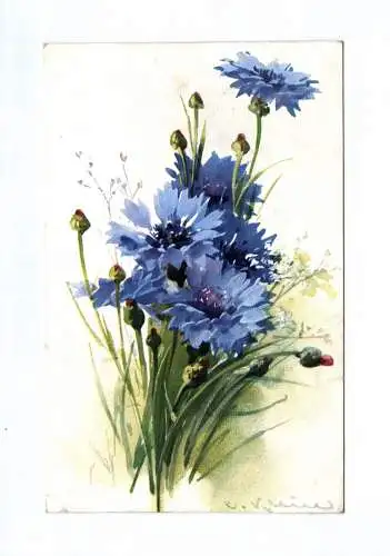 Klein Künstler Ak Kornblume 1917 Feldpost