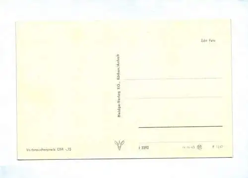 DDR Ak Bad Schmiedeberg Dübener Heide Aussichtsturm 1962
