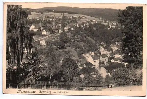 Foto Ak Blumenstadt Sebnitz um 1940 