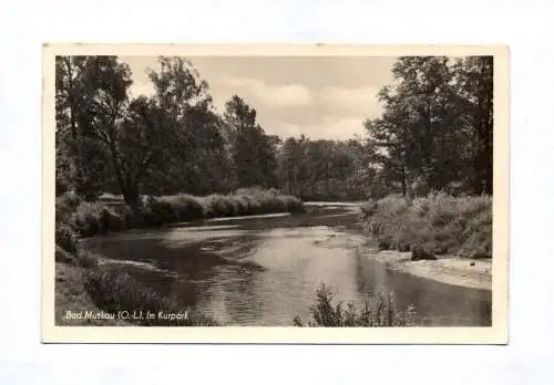 Foto Ak Bad Muskau Oberlausitz Im Kurpark 1953