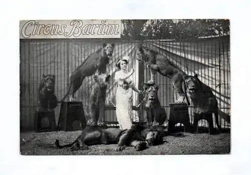 Ak Circus Barum Frau mit Löwen 1913