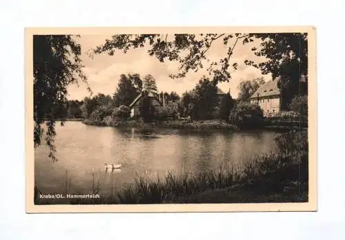 Ak Kreba Oberlausitz Hammerteich 1955