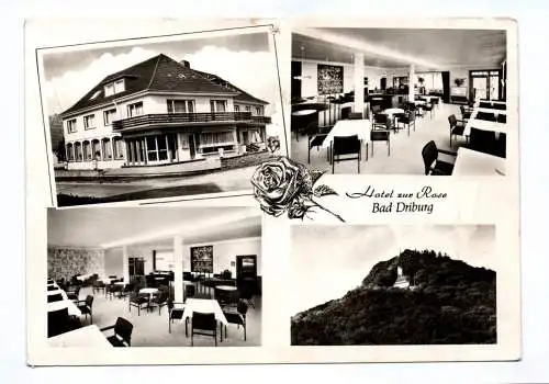 Ak Hotel zur Rose Bad Driburg 1957