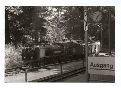 Foto Dampflok der Pioniereisenbahn Dresden Bw Zoo 1988