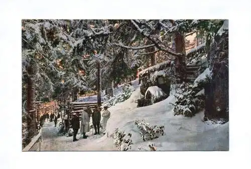 Ak Offiziersunterstand in den Vogesen Soldaten 1 Wk