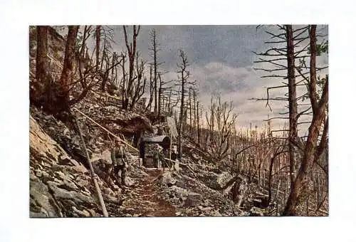 Ak Hartmannsweiler Kopf Berg Frankreich 1 Wk Soldaten