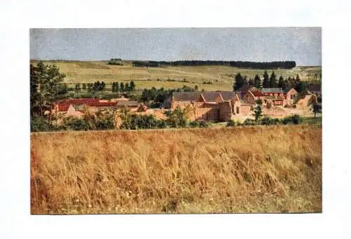 Ak Farbenphotographie aus der Cahmpagne Kornfeld Maronvilliers