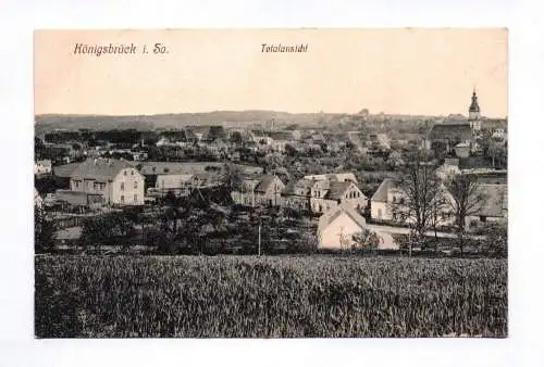 Ak Königsbrück in Sachsen Totalansicht 1916