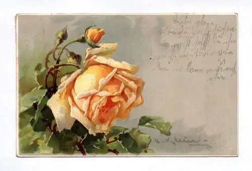 Litho Ak 1913 Gelbe Rosen Blumen