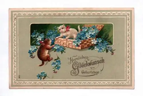 Ak Herzlichen Glückwunsch zum Geburtstage Blumen spielende Katzen 1909
