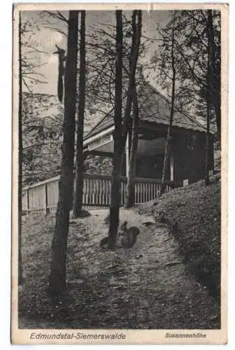 Ak Edmundsthal Siemerswalde Susannenhöhe 1929 Lungenheilanstalt