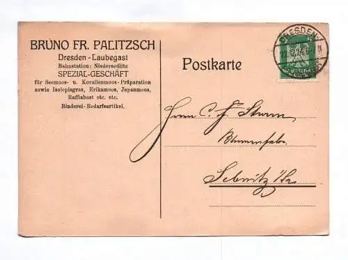 Postkarte Bruno Fr Palitzsch Dresden Spezialgeschäft 1924