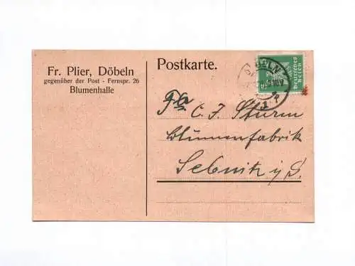 Postkarte Fr Plier Döbeln Blumenhalle 1925