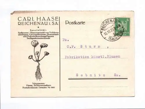 Postkarte Carl Haase Reichenau Spezialgeschäft Pflanzen 1926