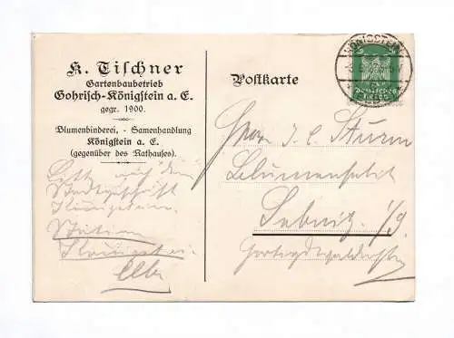Postkarte K Tischner Gartenbaubetrieb Gohrisch Königstein 1927