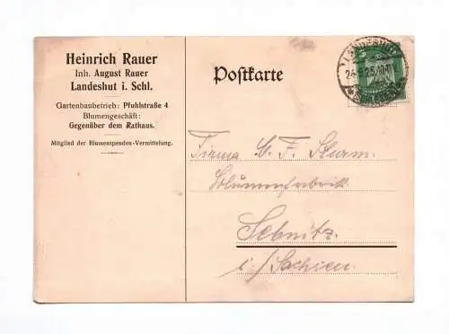 Postkarte Heinrich Rauer Landeshut in Schlesien Gartenbaubetrieb 1925