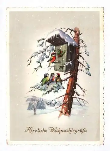 Künstler Ak Herzliche Weihnachtsgrüße 1957 Vögel am Vogel Haus im Schnee