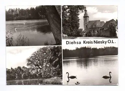 Ak Diehsa Kreis Niesky OL 1982 Teich mit Schwan Kirche