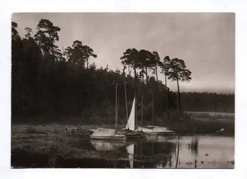 Foto Ak Stausee Quitzdorf Kreis Niesky Am Säuberg 1982 Boote