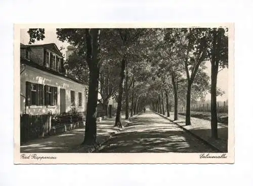 Ak Bad Rappenau Salinenallee mit Straßenbäumen