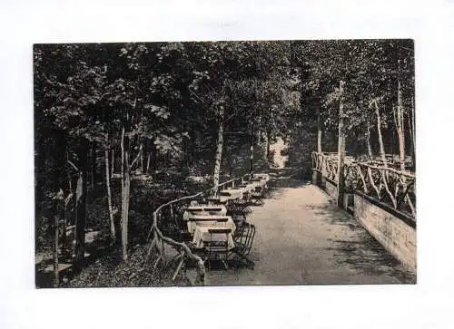 Ak Partie im Naturpark Strehla Bautzen 1915