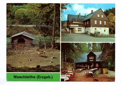 Ak Waschleithe Erzgebirge Tierpark Gaststätte Osterlamm Köhlerhütte 1980