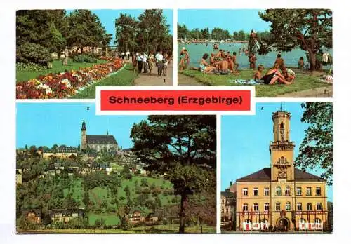 Ak Schneeberg Erzgebirge 1978 Filzteich Blick zur Kirche Rathaus