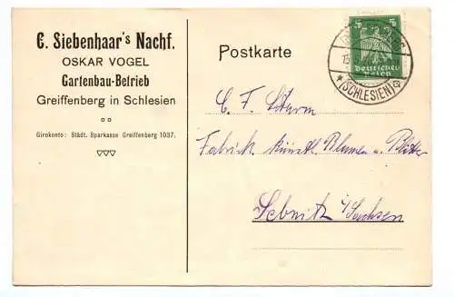 Postkarte Siebenhaar Gartenbau Betrieb 1926 Greiffenberg Schlesien