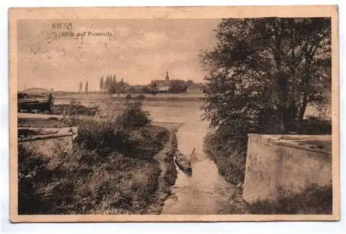 Ak Riesa Blick auf Promnitz 1919