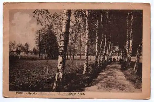 Ak Röbel Mecklenburg Birken Allee 1921