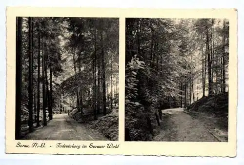 Ak Sorau Niederlausitz Schlesien Todestalweg im Sorauer Wald Żary 1935