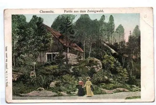 Ak Chemnitz Partie aus dem Zeisigwald Damen 1908 in Farbe