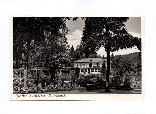 Ak Bad Sachsa Südharz Im Kurpark 1958