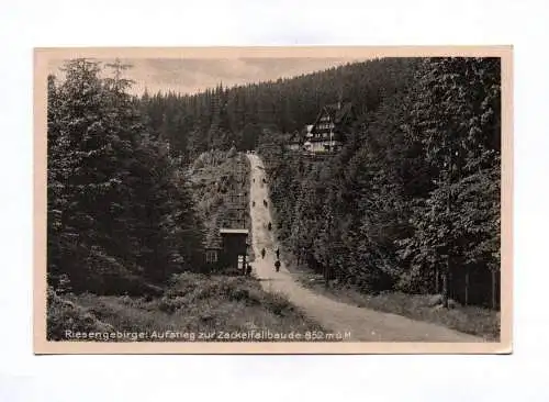 Ak Riesengebirge Aufsteig zur Zackelfallbaude Schreiberhau