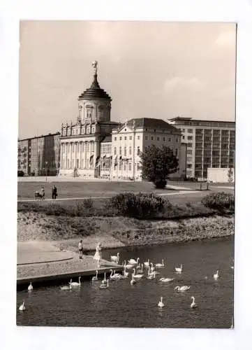 Foto Ak Potsdam Kulturhaus Hans Marchwitza 1977 Schwäne am Wasser