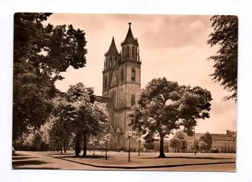 Foto Ak Magdeburg Domplatz 1965 Dom