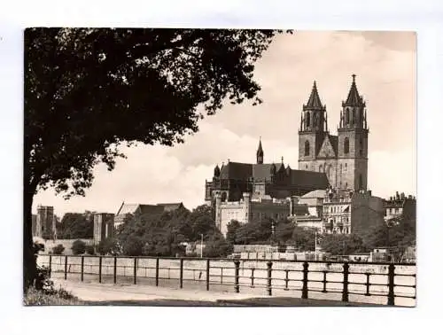 Foto Ak Magdeburg Blick zum Dom 1966