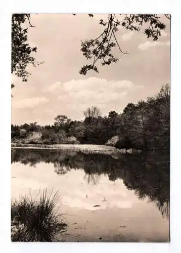 Foto Ak Michendorf bei Potsdam Herthasee 1970