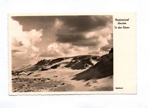 Ak Nordseeinsel Amrum in den Dünen 1956