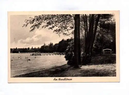 Ak Am Wandlitzsee 1942 Wandlitz Schwäne