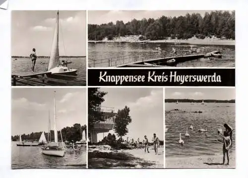Ak Knappensee Kreis Hoyerswerda 1978 Schwäne Menschen Boote