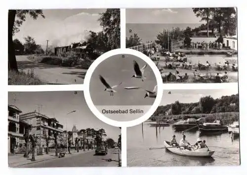 Ak Ostseebad Sellin Kleinbahn Rügen Freilichtbühne Selliner See 1984